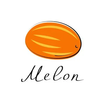 Melon vector cartoon flat illustration. Fresh berry fruit and vegetable logo Stock Illustration