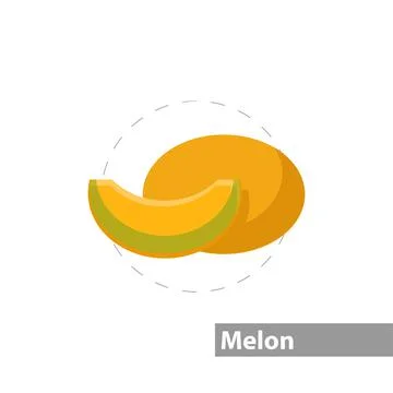 Melon vector flat illustration icon Stock Illustration