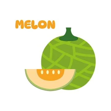 Melon vector. melon on white background. wallpaper. logo design. Stock Illustration
