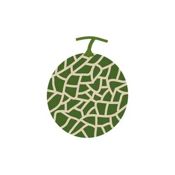 Melon vector. melon on white background. wallpaper. Illustrazione stock