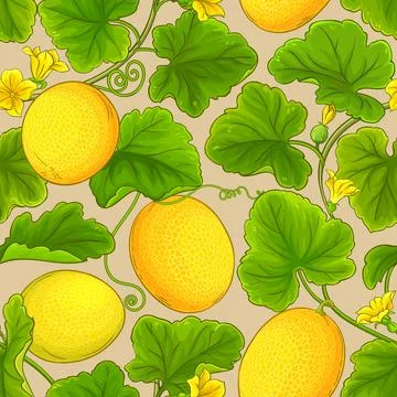 Melon vector pattern Stock Illustration