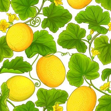 Melon vector pattern Stock Illustration