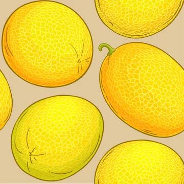 Melon vector pattern イラスト素材