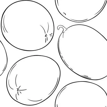 Melon vector pattern 库存插图