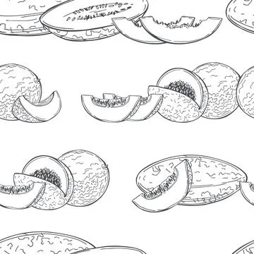 Melon. Vector pattern. Stock Illustration