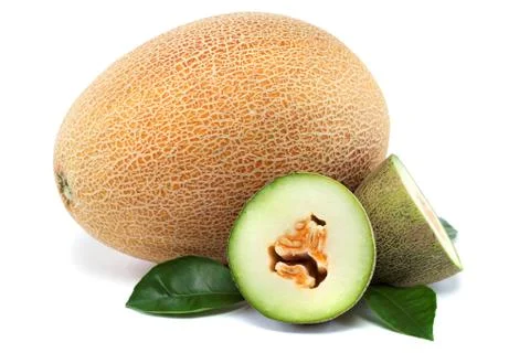 Melon on a white background Stock Photos