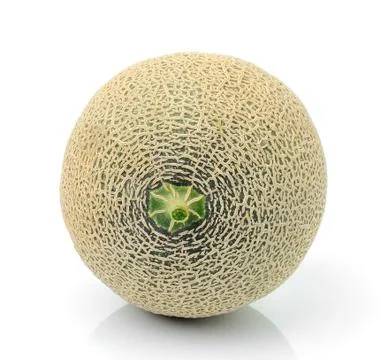 Melon on white background Stock Photos