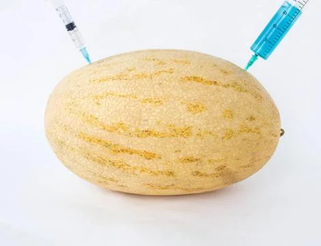 Melon on a white background in which enter gmo and nitrates, close-up 写真素材