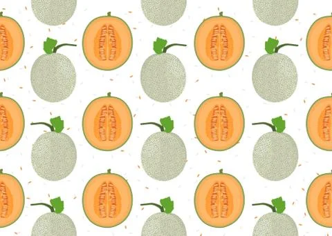 Melon whole and half seamless pattern on white background with seed, Fresh ca 库存插图