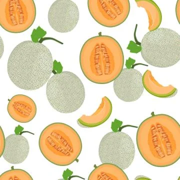 Melon whole and half seamless pattern on white background, Fresh cantaloupe m Stock Illustration