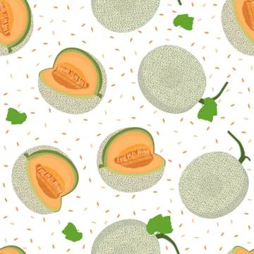 Melon whole seamless pattern on white background, Fresh cantaloupe melon patt Stock Illustration