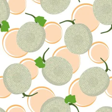 Melon whole seamless pattern on white background, Fresh cantaloupe melon patt Stock Illustration