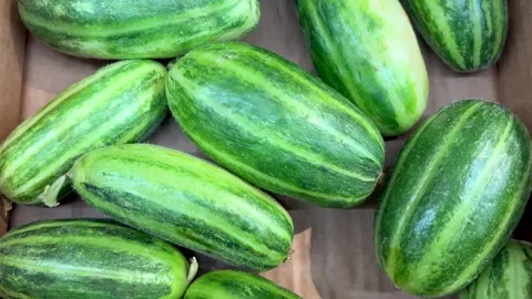 Meloncella del Salento in crate Stock Footage 280198119