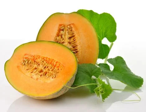 Melonm Stock Photos