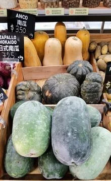 Melons and pumpkins Stock Photos