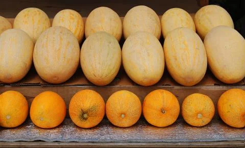 Melons are yellow Stock Photos
