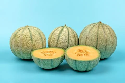Melons close-up, on a blue background Stock Photos