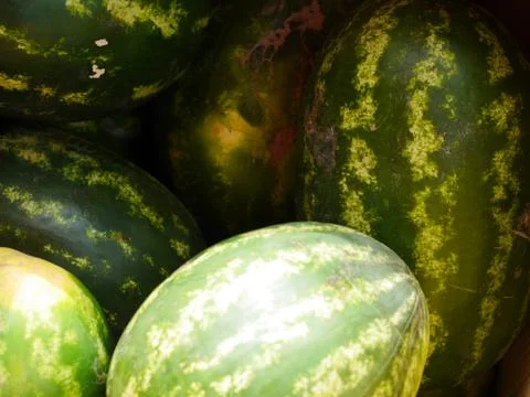 Melons on each other Stock Photos