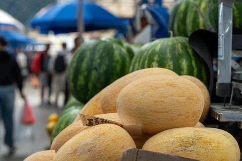 Melons on a market stall. Stock-Fotos