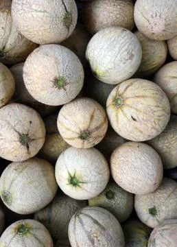 Melons Stock Photos