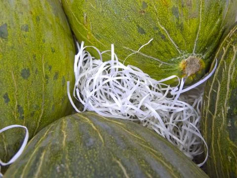 Melons Foto stock