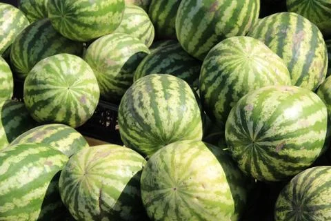 Melons Stockfoto's
