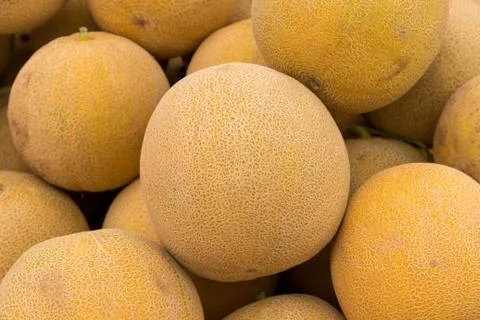 Melons Stock Photos