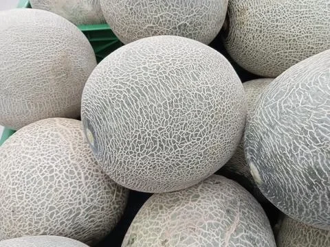 Melons Stock Photos