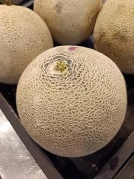 Melons Stock Photos