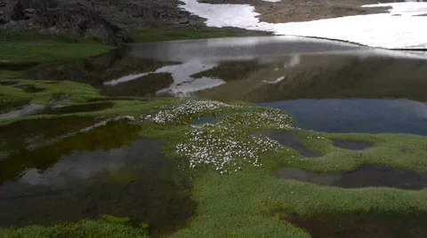 Melt in the lagoon Stock Footage 35664934