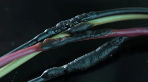 Melt power electric wire cable. Macro shot. Stock Footage 46052696