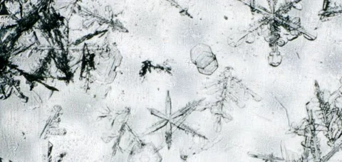 Melt snowflakes Stock Footage 48070666