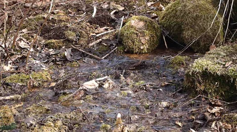 Melt water Stock-Footage 22674380