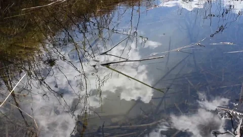 The melt water with the reflected sky in windy weather Video stock 91198069