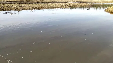 Melt water rivers Stock Footage 127676468