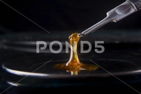 Melted cannabis oil concentrate aka shatter held on a dabbing tool Stock Photos