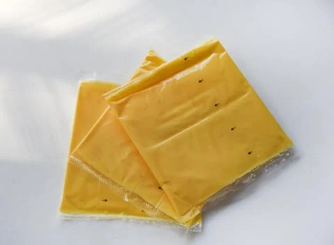 Melted cheese in flat slices. Processed cream cheese for sandwiches. Stock Photos