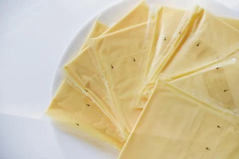 Melted cheese in flat slices. Processed cream cheese for sandwiches. Stock Photos