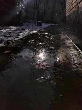 The melted first snow Stock Photos