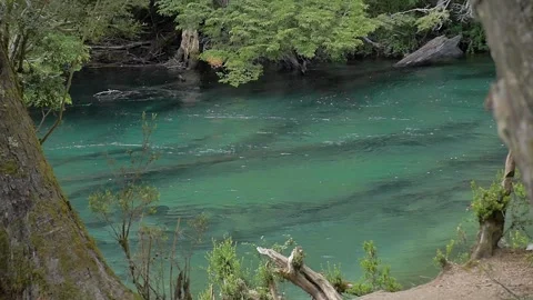 Melted ice from the mountains flow as clear water through rivers of the forest Stock Footage 256183557