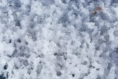 Melted ice in spring as texture. Spring melting of ice and snow Stock Photos