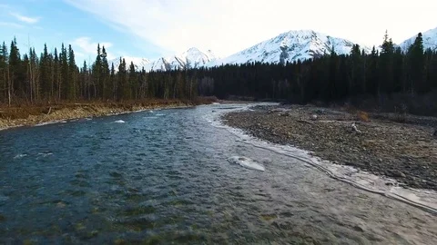 Melted ice water flowing in the river with coniferous forest on the sides 스톡 동영상 79641388