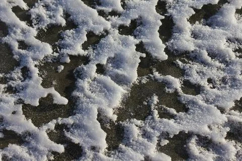 Melted snow texture. Stock Photos