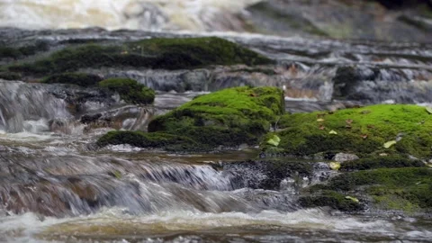 Melted snow water flowing downstream in British Columbia Stock Footage 297530787
