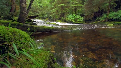Melted snow water flowing downstream in British Columbia Stock Footage 297530836