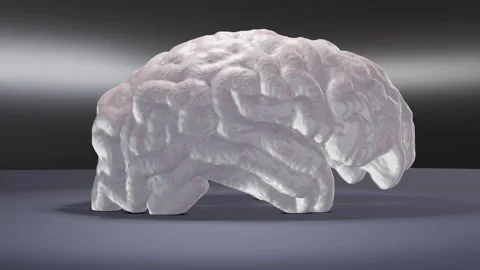 Melting Brain Stock Footage 265111463