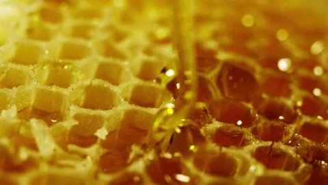 Melting Cheese Topping On Pizza Bubbling And Browning Video stock 342902604