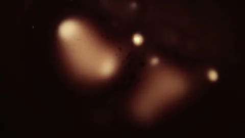Melting frames in a movie projector on a black background 4k Stock Footage 114269205