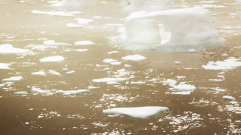 Melting ice and floating ice pieces in water under sunlight 스톡 동영상 344397736