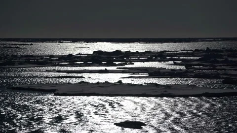 Melting ice in the contoured sunlight on the surface of the gleaming water, many Stock Footage 137759657